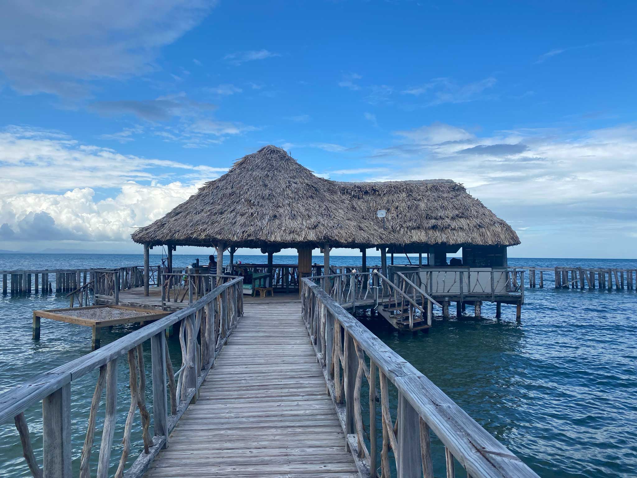 Belize – Private Island or Jungle Treehouse?